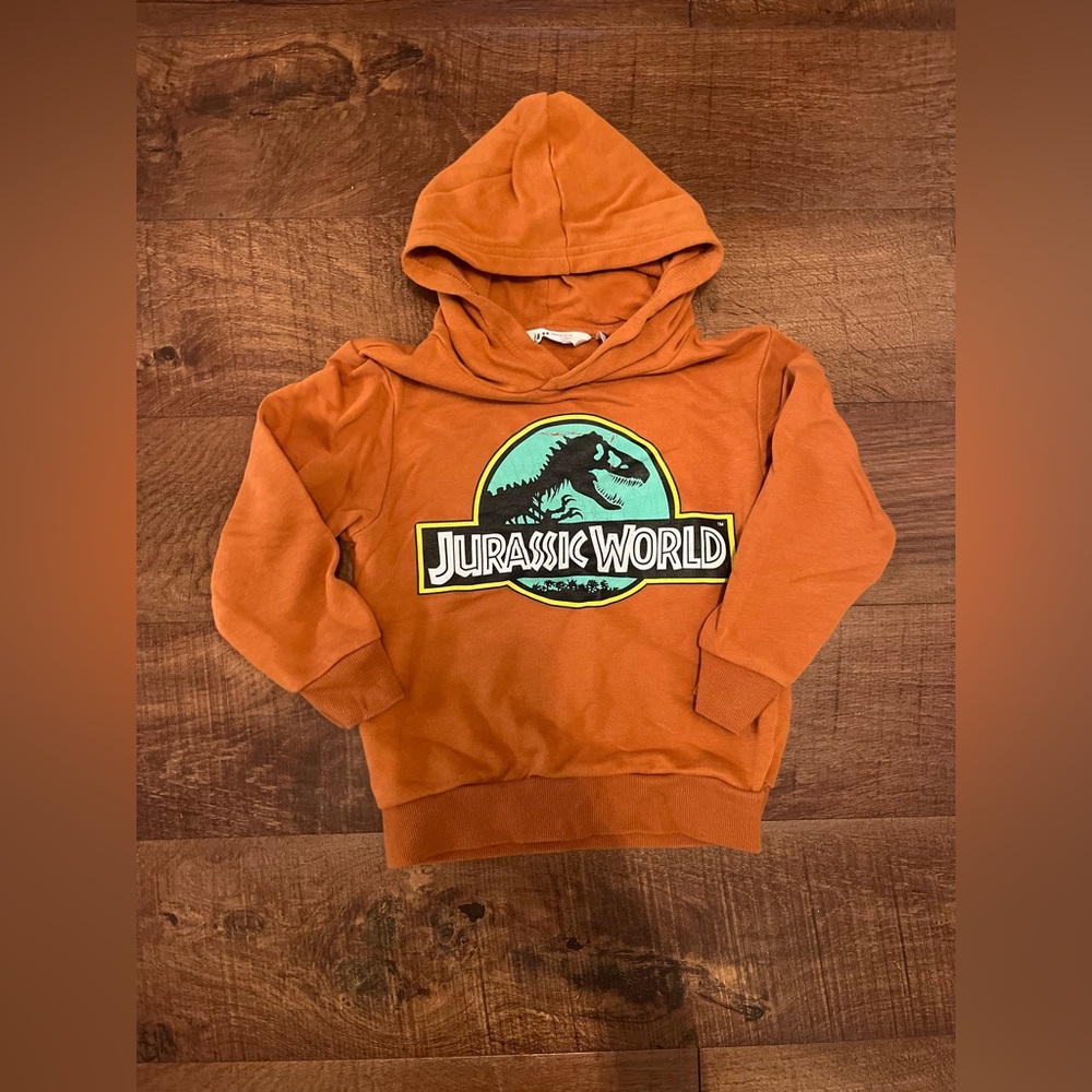 Jurassic hoodie